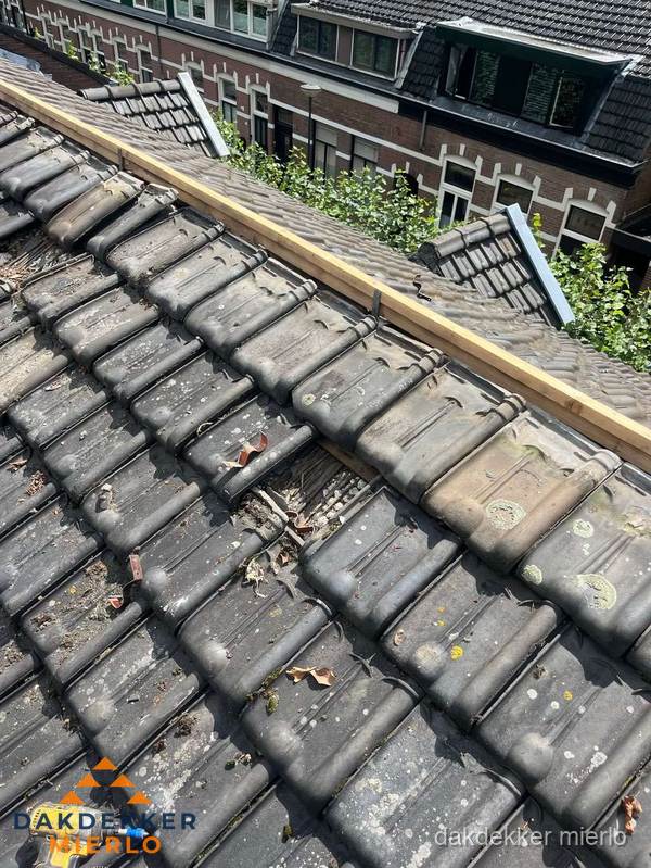 Dakonderhoud aan schuin pannendak met nokvernieuwing in Mierlo Dakonderhoud aan schuin pannendak met nokvernieuwing in Mierlo